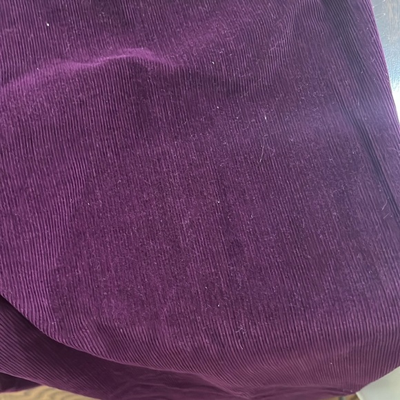 Super Cute Corduroy Pants by Talbots - Picture 2 of 12